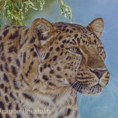 On The Look Out - 101 hours
Brown Pastelmat Board
17" x 27.5"
Ref: my own photo